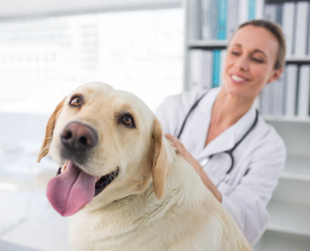 The Gossip Column: June 3, 2022